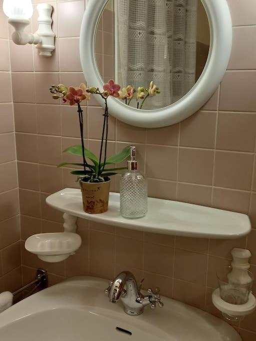 S'Gleina Gleck, In The Heart Of A Wine City, Charmant Studio 1 Piece Et 1 Salle De Bain ケゼルスベール エクステリア 写真