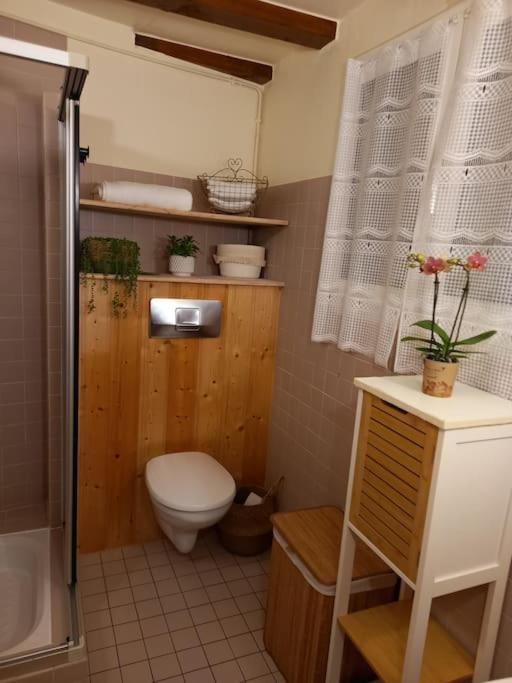 S'Gleina Gleck, In The Heart Of A Wine City, Charmant Studio 1 Piece Et 1 Salle De Bain ケゼルスベール エクステリア 写真