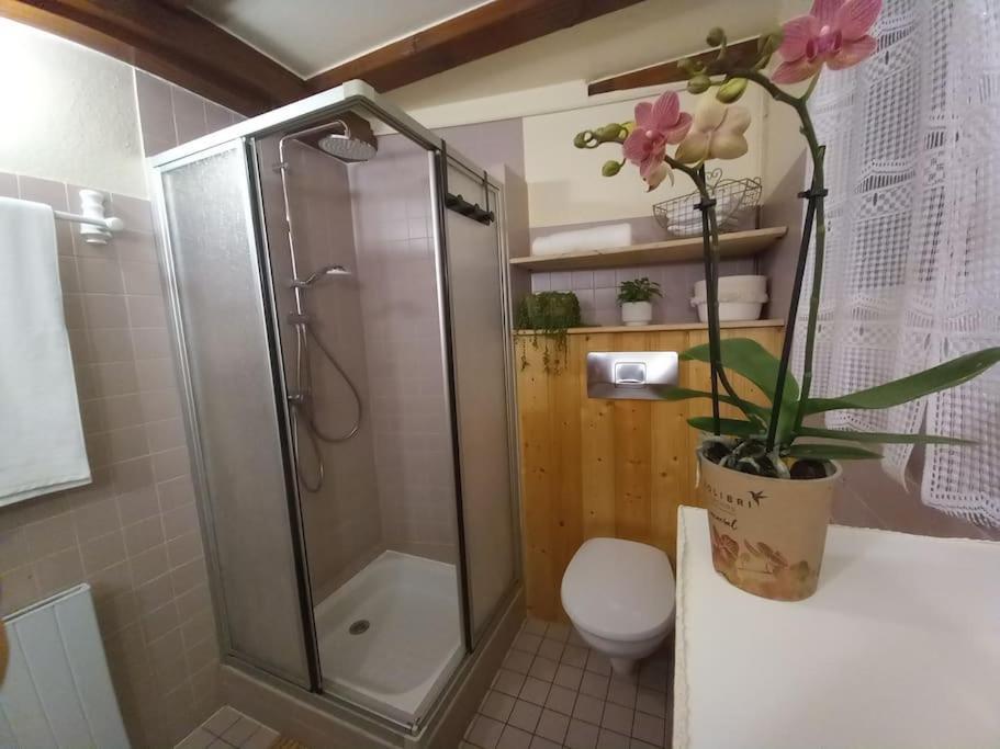 S'Gleina Gleck, In The Heart Of A Wine City, Charmant Studio 1 Piece Et 1 Salle De Bain ケゼルスベール エクステリア 写真