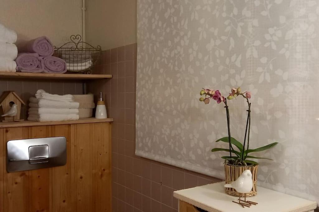 S'Gleina Gleck, In The Heart Of A Wine City, Charmant Studio 1 Piece Et 1 Salle De Bain ケゼルスベール エクステリア 写真