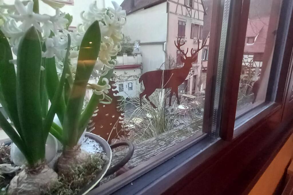 S'Gleina Gleck, In The Heart Of A Wine City, Charmant Studio 1 Piece Et 1 Salle De Bain ケゼルスベール エクステリア 写真